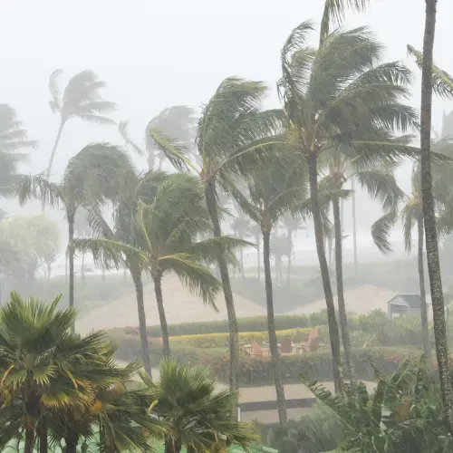 fuite d'eau après cyclone